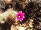 photo thumbnail #2