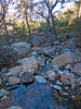 2014-03-16 :1: Four Peaks - AZT #20 :: tibber