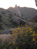 photo thumbnail #4