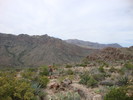 photo thumbnail #4