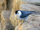 photo thumbnail #8