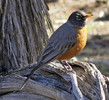 photo thumbnail #14