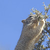 photo thumbnail #13