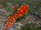 photo thumbnail #4