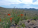 photo thumbnail #5