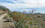 photo thumbnail #9