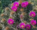 photo thumbnail #11