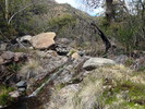photo thumbnail #5