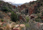 photo thumbnail #6
