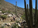 photo thumbnail #9