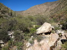 photo thumbnail #12