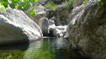 photo thumbnail #11