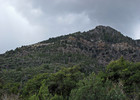 photo thumbnail #2