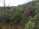 photo thumbnail #3