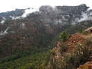 photo thumbnail #12