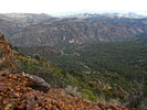 photo thumbnail #13