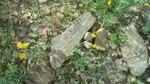 photo thumbnail #3