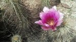 photo thumbnail #13