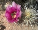 photo thumbnail #14