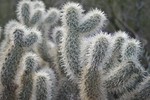 photo thumbnail #15