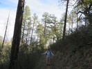 photo thumbnail #2