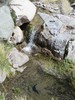 photo thumbnail #14