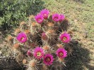 photo thumbnail #6