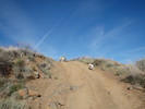 photo thumbnail #1