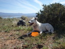 photo thumbnail #8