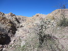 photo thumbnail #4