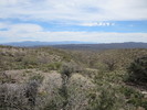 photo thumbnail #5