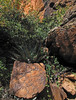 photo thumbnail #14