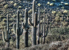 photo thumbnail #1