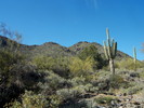 photo thumbnail #1