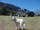 photo thumbnail #15