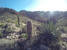 photo thumbnail #11