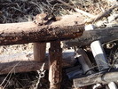 photo thumbnail #5