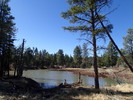 photo thumbnail #7
