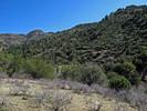 photo thumbnail #11