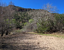 photo thumbnail #15