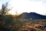photo thumbnail #4