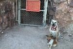 photo thumbnail #9
