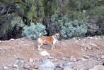 photo thumbnail #13