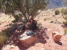 photo thumbnail #1