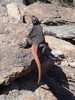 photo thumbnail #9