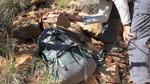 photo thumbnail #2