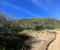photo thumbnail #15