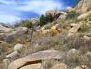 2014-03-23 :1: Granite Mountain and Otero Benchmark :: FLYING_FLIVER