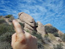 photo thumbnail #1
