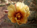 photo thumbnail #12